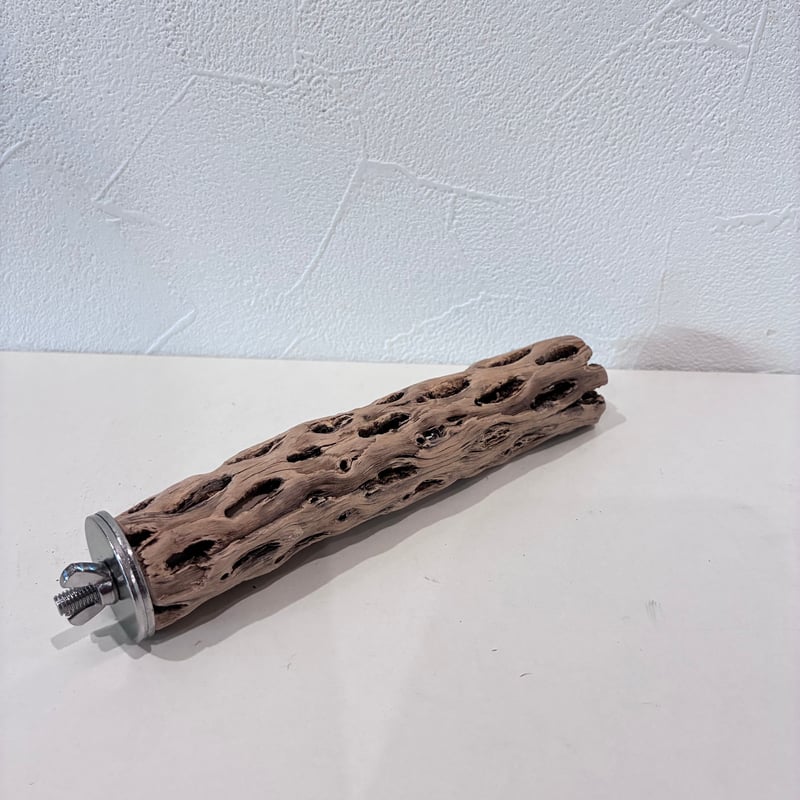 カクタスパーチ極小サイズ⑭ 直径2.5~3cm/長さ15cm【自然木 止まり木