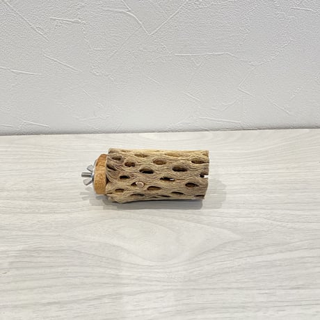 カクタスパーチ③ 小直径3.5cm 長さ9cm