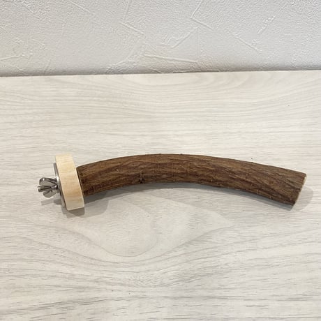 自然木（ツタ）パーチ⑥  直径2cm 長さ15cm