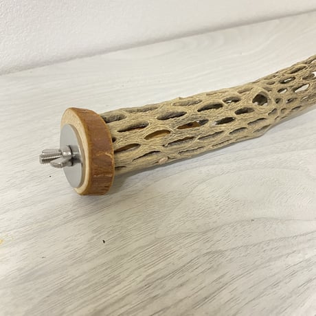 カクタスパーチ⑥ 極小サイズ 直径（約2-3cm）長さ/17cm
