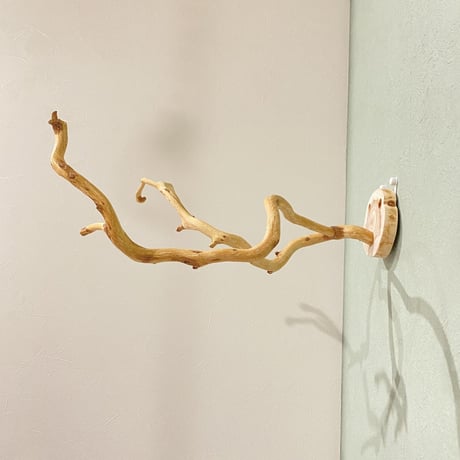 ピノキオの鼻 ②