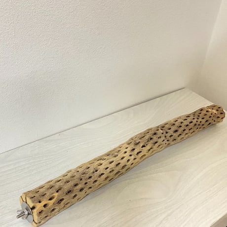 【parakeet_micho様専用】ケージサイズカクタスパーチ HOEI465 オカメ