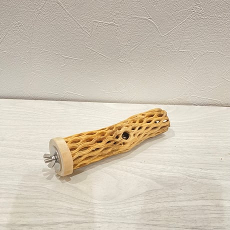 カクタスパーチ小直径3~4cm 長さ15cm ③