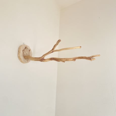 ピノキオの鼻 ①