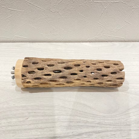 カクタスパーチ【17】直径4~5cm/長さ15cm