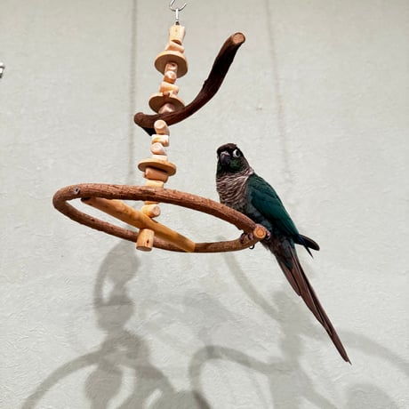 ゆらゆらUFOブランコ④【自然木の止まり木 インコのおもちゃ】  セキセイインコ・コザクラインコ・ウロコインコ