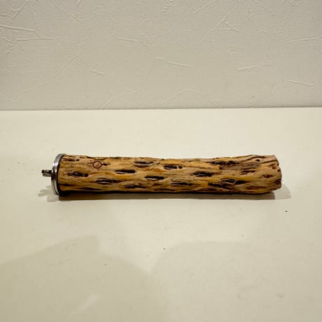 カクタスパーチ極小サイズ 直径2.7-3cm/長さ15cm⑨【自然木 止まり木 バンブルフット 趾瘤症 】