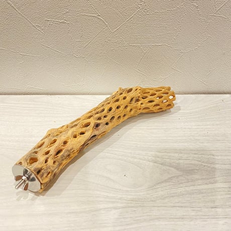 カクタスパーチ【32】直径4~5cm/長さ25cm