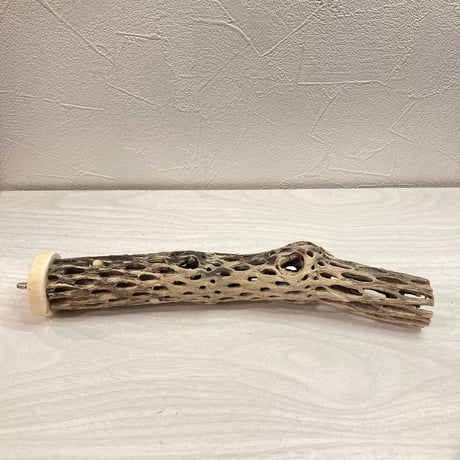 カクタスパーチ【J】  小 直径4cm前後 長さ25cm