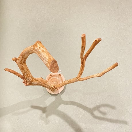 ピノキオの鼻 ④  中型から大型用