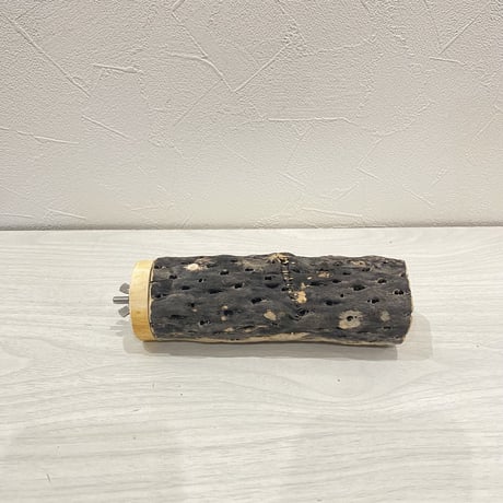 カクタスパーチ【9】中直径約5.5cm/15cm