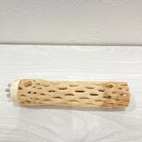 カクタスパーチ【4】小 直径約3.5cm 長さ15cm