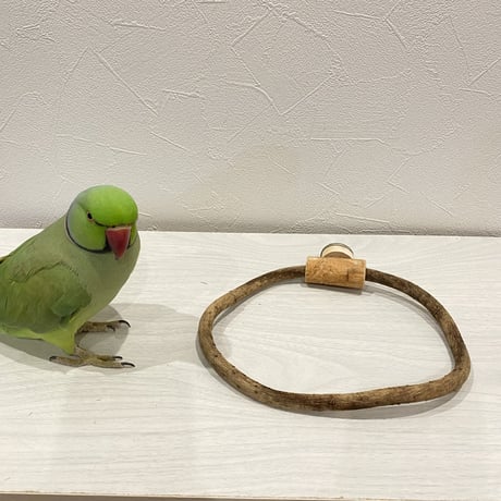 自然木（ツタ）のドーナツパーチ③ ビックサイズ  パーチ直径1cm／円直径19×16.5cm
