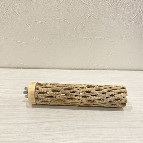カクタスパーチ【13】 小直径3.5cm/15cm