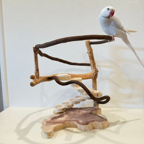 ツタと螺旋階段のぐるぐるバードアスレチック【インコのおもちゃ・自然木のとまり木】