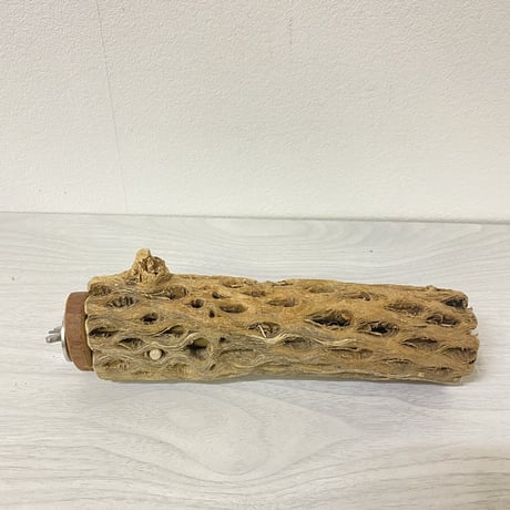 【中型・大型用】カクタスパーチ中③　直径5cm／長さ19.5cm