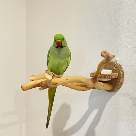 ピノキオの鼻 おやつ入れ付き①
