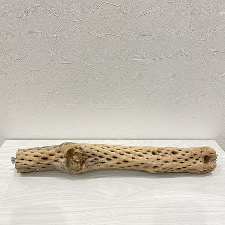 ケージサイズカクタスパーチ①  中サイズ（直径約5.5cm）HOEI465