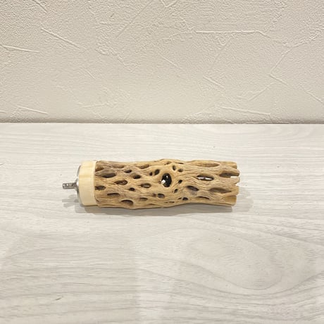 カクタスパーチ⑧  極小 直径3cm前後 長さ10cm