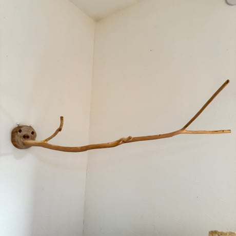ながーーーい　桧のピノキオの鼻③