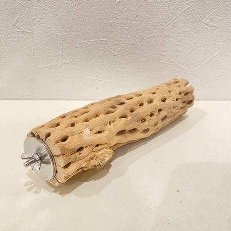 カクタスパーチ(T) 直径約5cm/長さ20cm