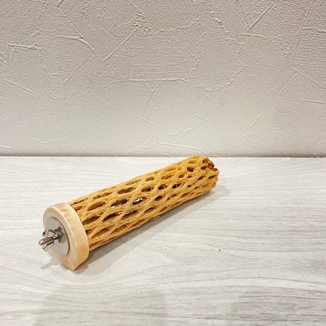 カクタスパーチ⑤ 小サイズ長さ15cm