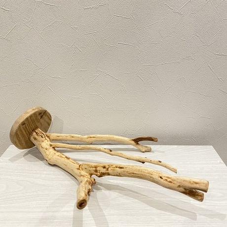 ピノキオの鼻 ② 貝塚伊吹