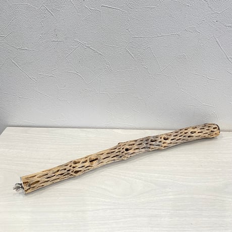 ケージサイズカクタスパーチ極小  HOEI465 オカメ