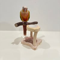 おやつ入れ付きスタンドパーチ【体重測定用】Ａ