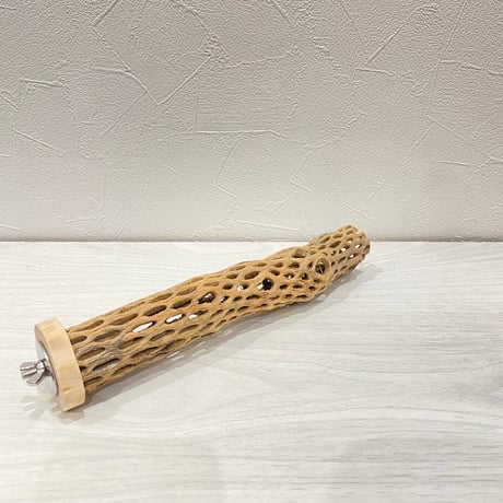カクタスパーチ⑮ 小サイズ長さ23cm