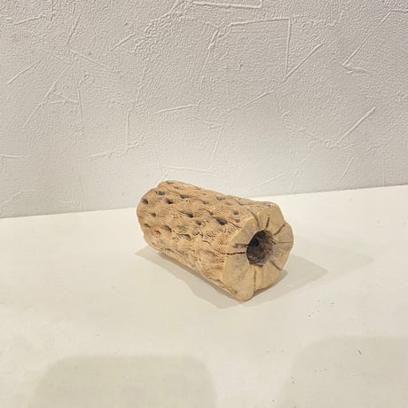 カクタスパーチ② 直径約5cm/長さ10cm