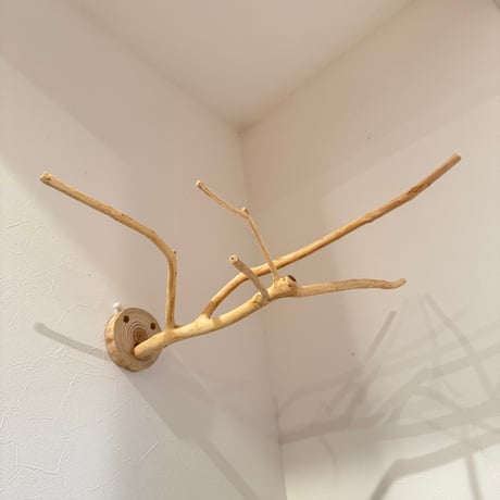 槇（マキ）のピノキオの鼻【自然木の止まり木 インコのおもちゃ】