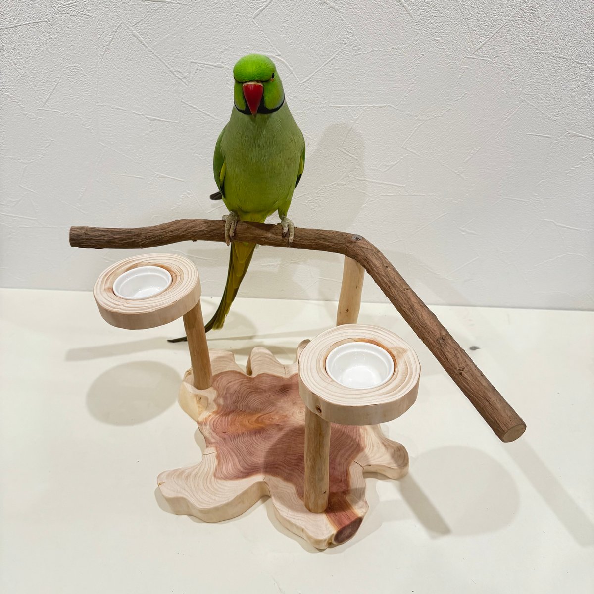 ツタのおやつ入れ付きスタンドパーチ 【インコ 自然木 止まり木