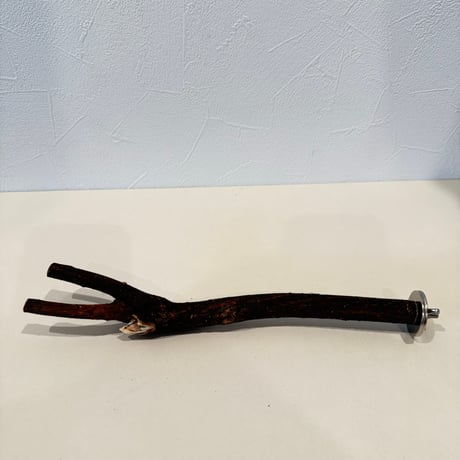 自然木（ツタ）パーチ 直径1.6cm/長さ24.5cm