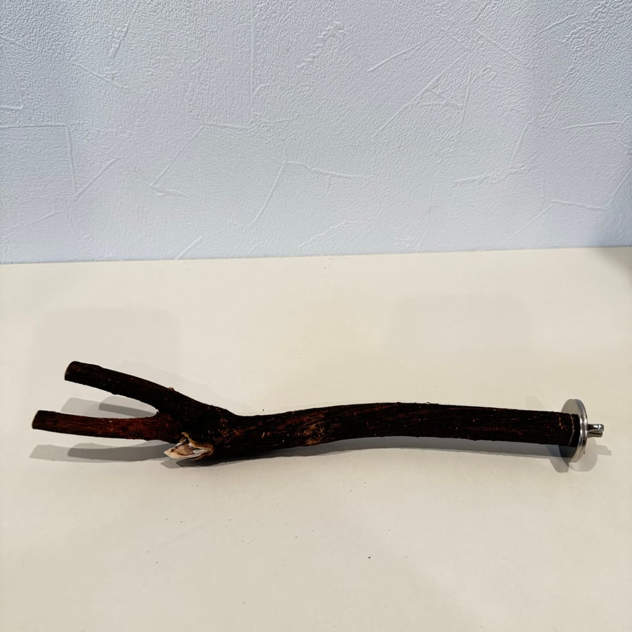 66dea4dab776cf0997d66396