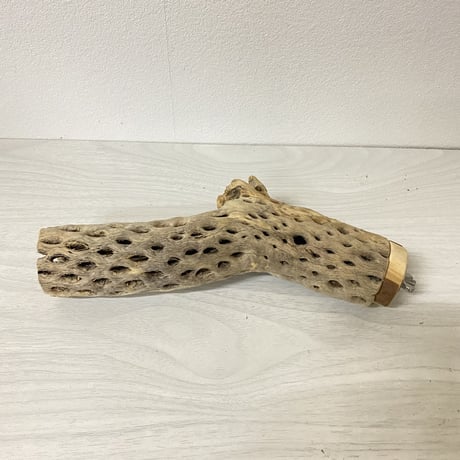 カクタスパーチ 中サイズ 直径（約5.5cm）長さ/20cm