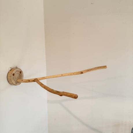 桧のピノキオの鼻②