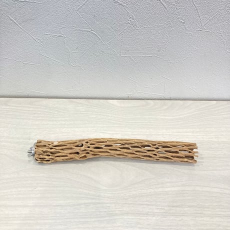 カクタスパーチ小③ 直径約3~4cm 長さ25cm