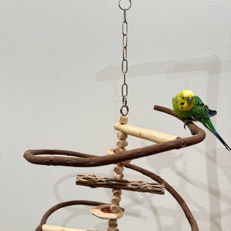 コトリのなる木ミニミニカスタム　ツタのつり下げバードアスレチック【文鳥 インコ 自然木 止まり木】
