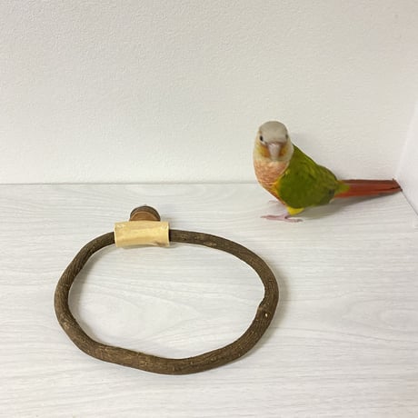 自然木（ツタ）のドーナツパーチ②ビックサイズ  パーチ直径1cm／円直径19×15.5cm