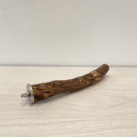 自然木（ツタ）のパーチ⑩　直径2cm 長さ20cm