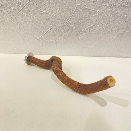 自然木（ツタ）パーチ 直径約1.6cm/長さ20cm
