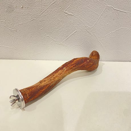 自然木（ツタ）パーチ 直径約2.1~2.5cm/長さ20cm