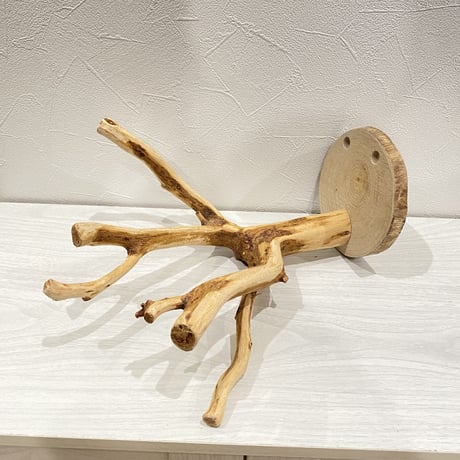 ピノキオの鼻 ②