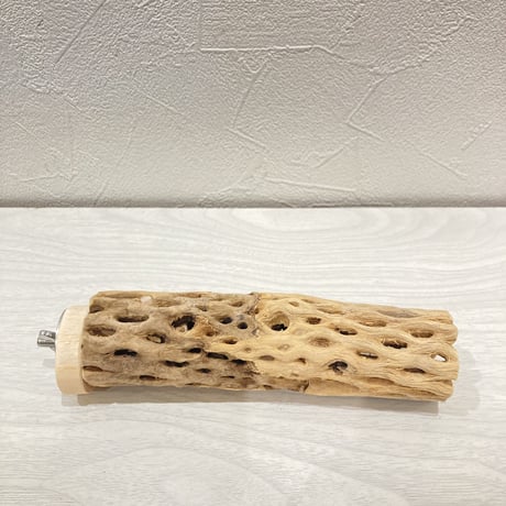 カクタスパーチ【9】小 直径約3.5cm 長さ15cm