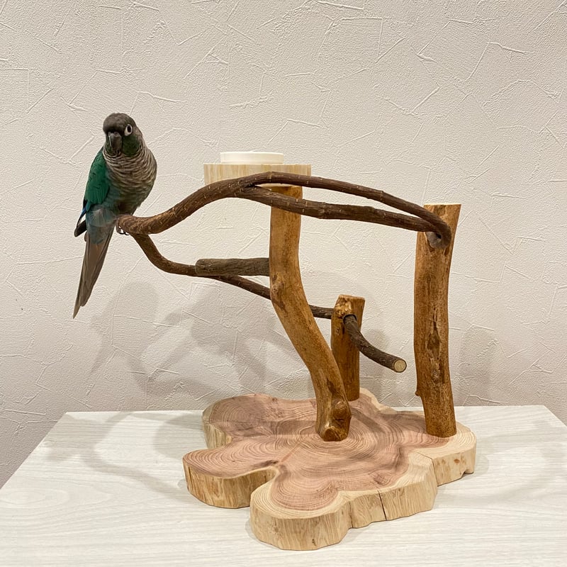 ツタのぐるぐるバードアスレチック③【インコのおもちゃ・自然木の