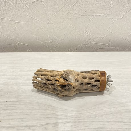 カクタスパーチ⑧ 小直径約3.5cm/11cm