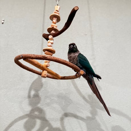 ゆらゆらUFOブランコ③【自然木の止まり木 インコのおもちゃ】  セキセイインコ・コザクラインコ・ウロコインコ