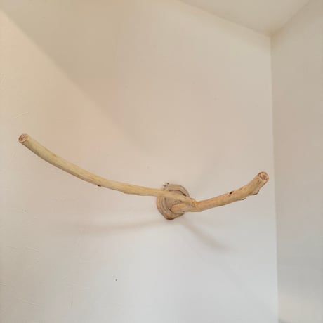 桧のピノキオの鼻⑤