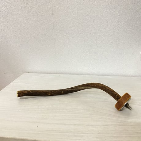 自然木（ツタ）のパーチ⑪　直径1.2cm／長さ22cm
